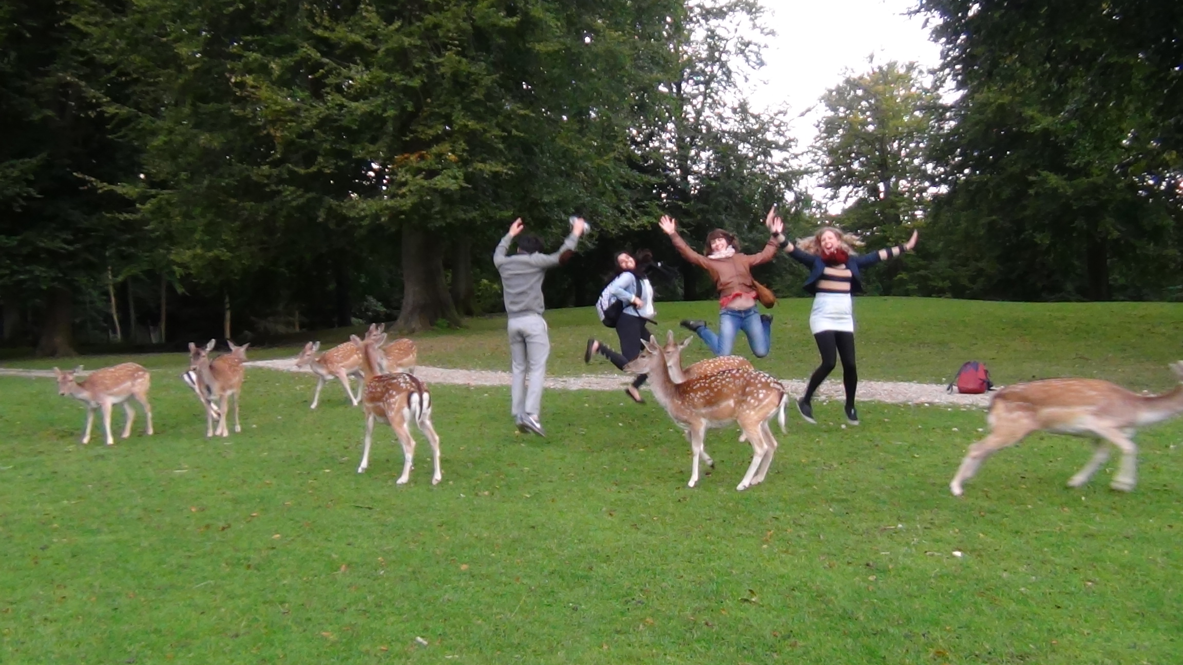  - Kruti Joshi - Deers and new friends in Denmark